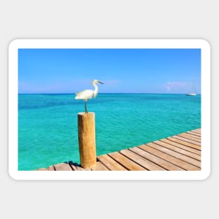 Snowy Egret at the Ocean Pier Sticker